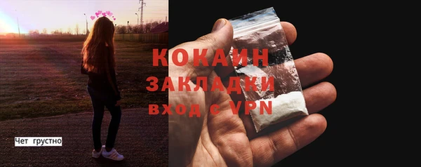 прущие грибы Белоозёрский