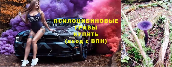прущие грибы Белоозёрский