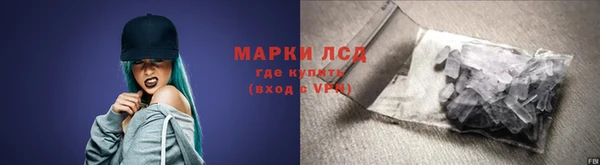 прущие грибы Белоозёрский