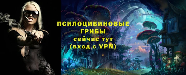 амф Беломорск