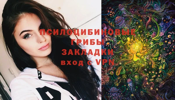 прущие грибы Белоозёрский